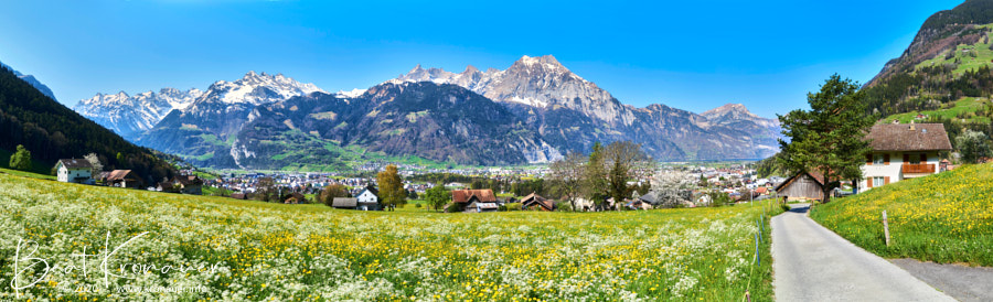 Panorama mit Frühlingswiese in Bürglen, Uri