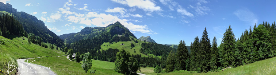 Panoramaaufnahme bei der Alp Trüschhübel