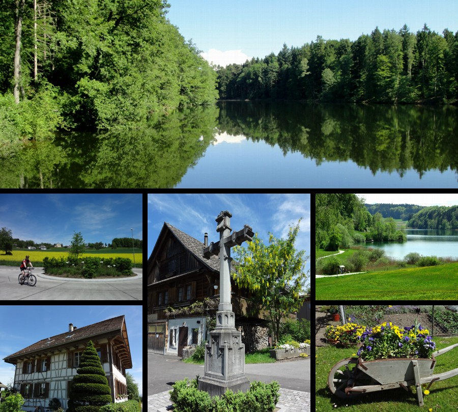 Waldweiher, Aeugst a.A., Rifferswil, Büessikon, Türlersee