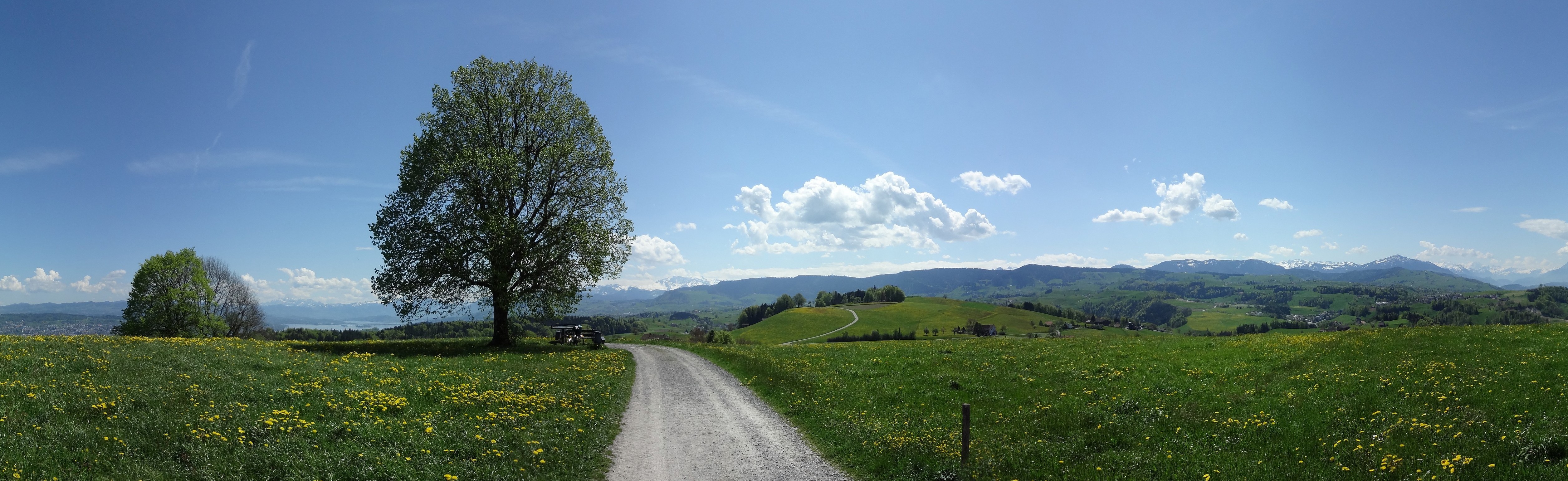 Hirzel Höhi