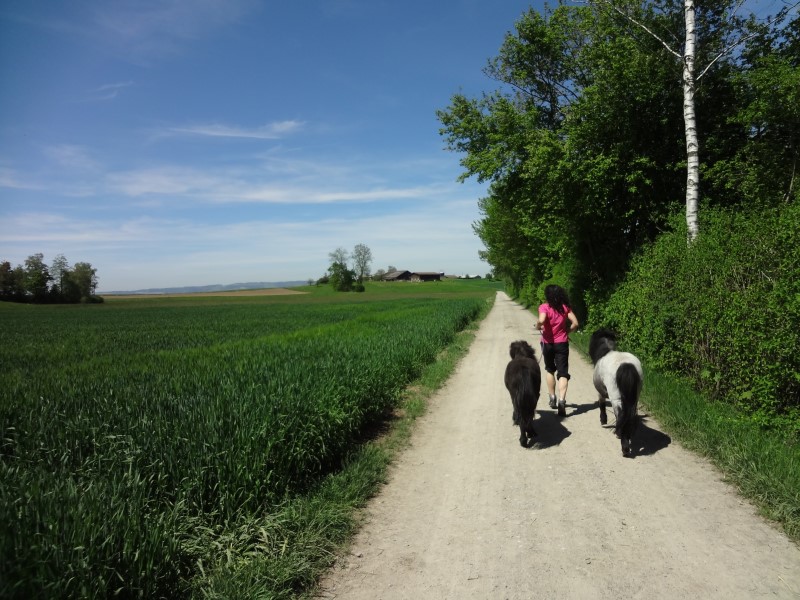 Joggerin mit Ponies