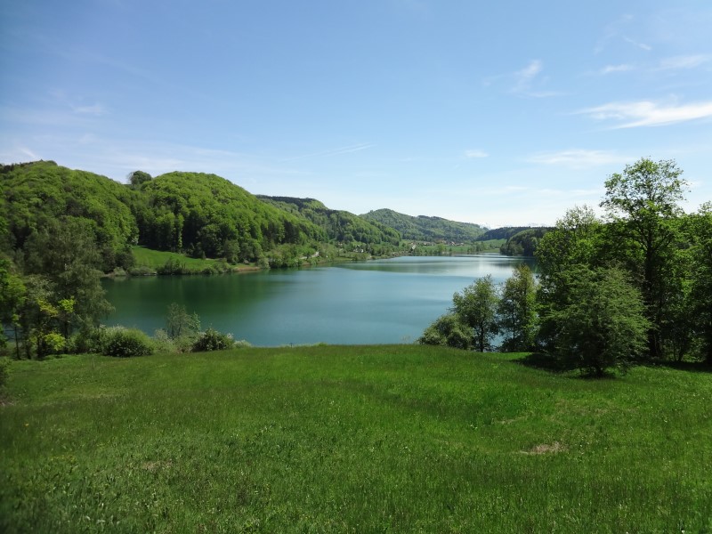 Türlersee