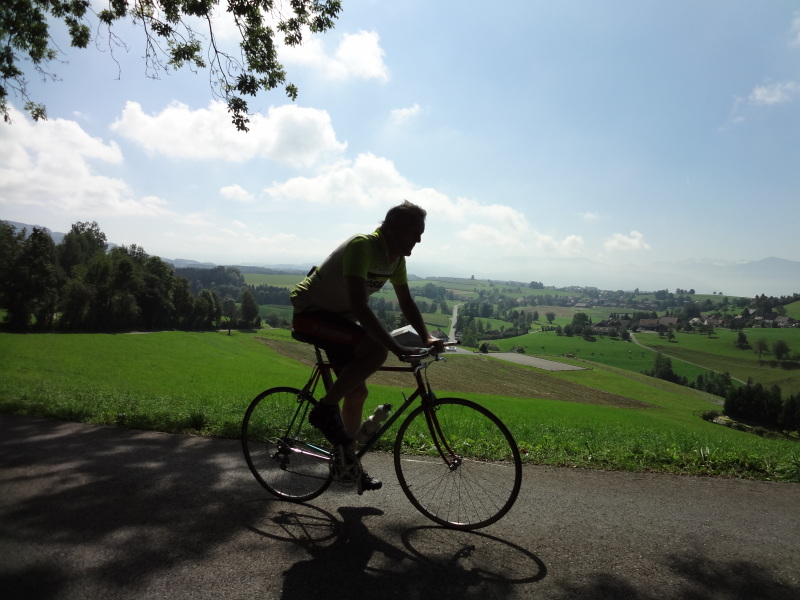 Herferswil