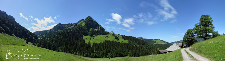 Panoramaaufnahme bei der Alp Trüschhübel