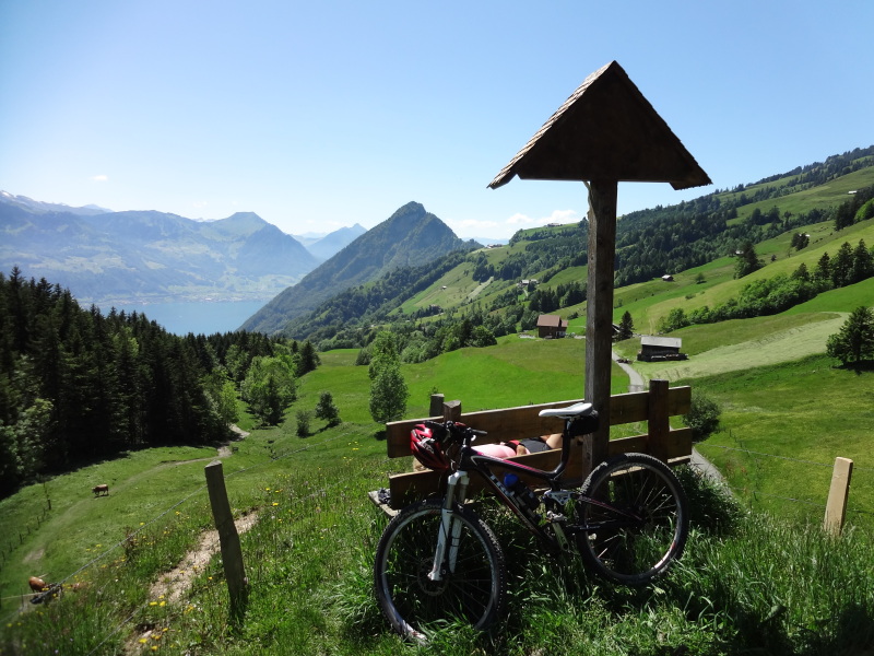 Gätterlipass mit Kreuz, Gersauerstock