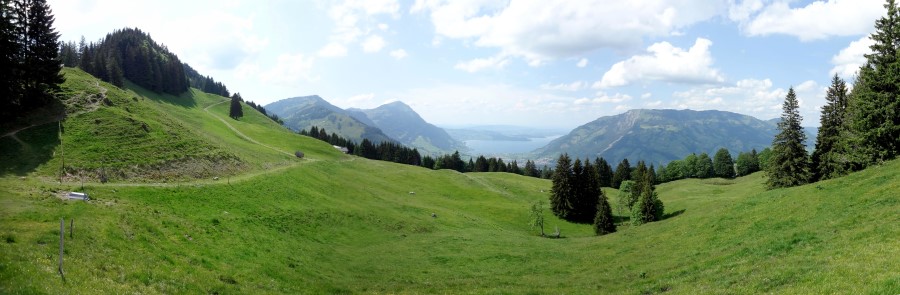 Alp Schwand
