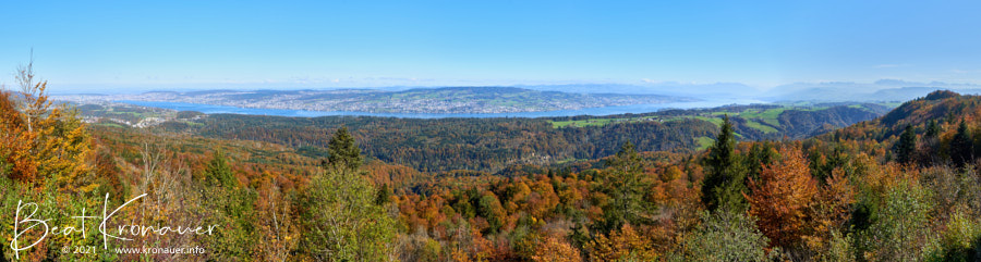 Albishorn, Panoramaaufnahme, im Hintergrund der Zürichsee