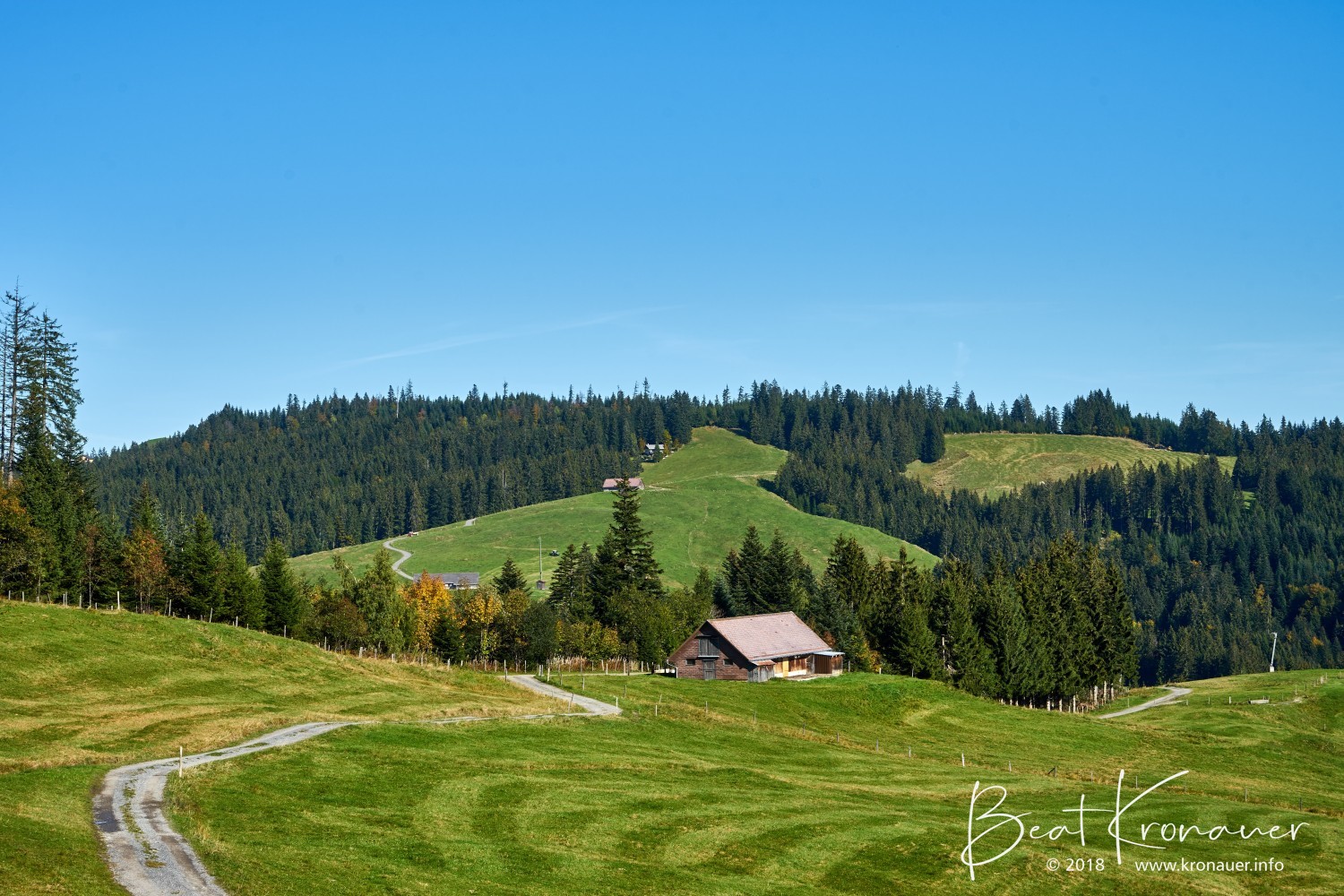 Alp Hirzen, Sattelegg, Schwyz