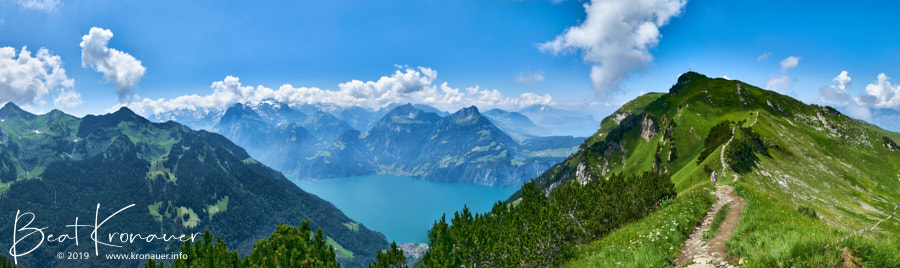 Wanderweg zwischen Klingenstock und Fronalpstock mit Blick auf den Urnersee