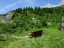 Maderanertal