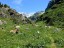Maderanertal