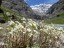 Maderanertal