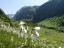 Maderanertal