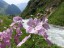 Maderanertal