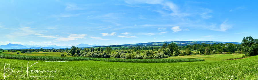 Panorama der Allmend Maschwanden