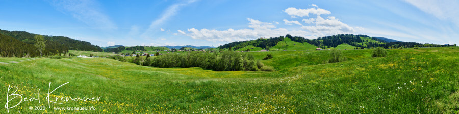 Panoramaaufnahme vom Hochmoor Rothenthurm bei Biberbrugg