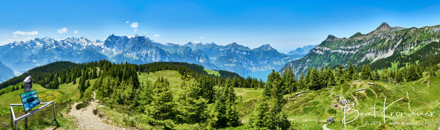 Aussicht von der Hüenderegg in Richtung Rophaien