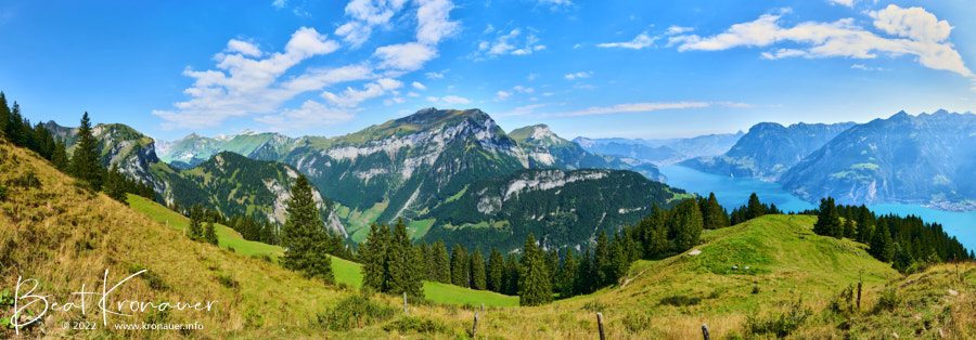 Panoramaaufnahme vom Ober Scharti auf den Urnersee (Vierwaldstättersee) mit Oberbauenstock, Niederbauen Chulm, Fronalpstock und Rophaien