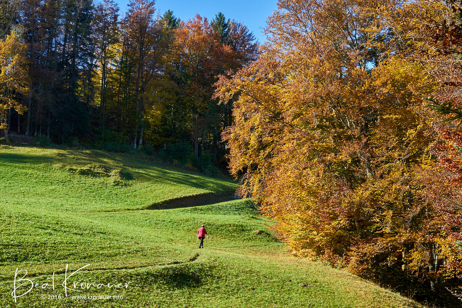 Förster-Trail, Herbst, Seelisberg, Uri