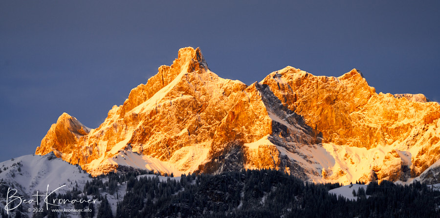 Verschneite Berge im Morgenlicht, Blackenstock, Brunnistock, Gitschenhöreli, Uri